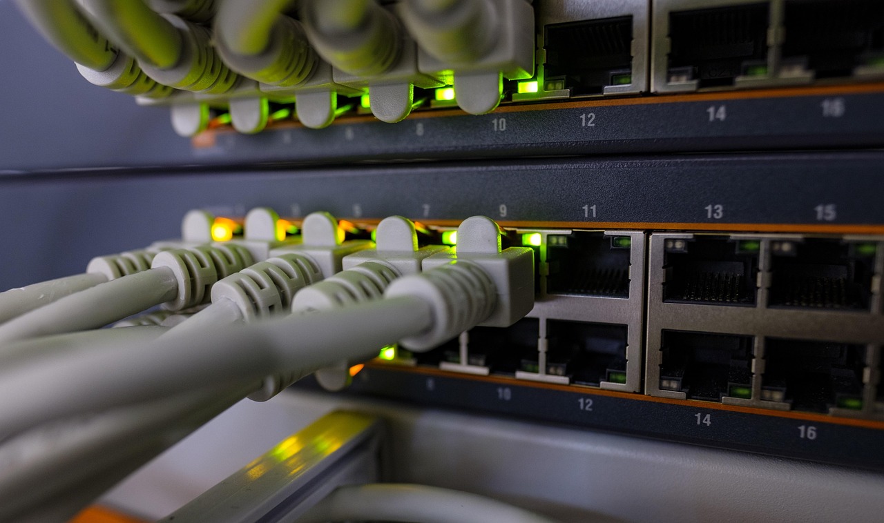 Network, edp, plug, patch cord, data cable, rj45, ethernet, copper, lan, switch, router, hardware, data, dsl, internet, web, connection, connected, network, network, network, ethernet, ethernet, lan,